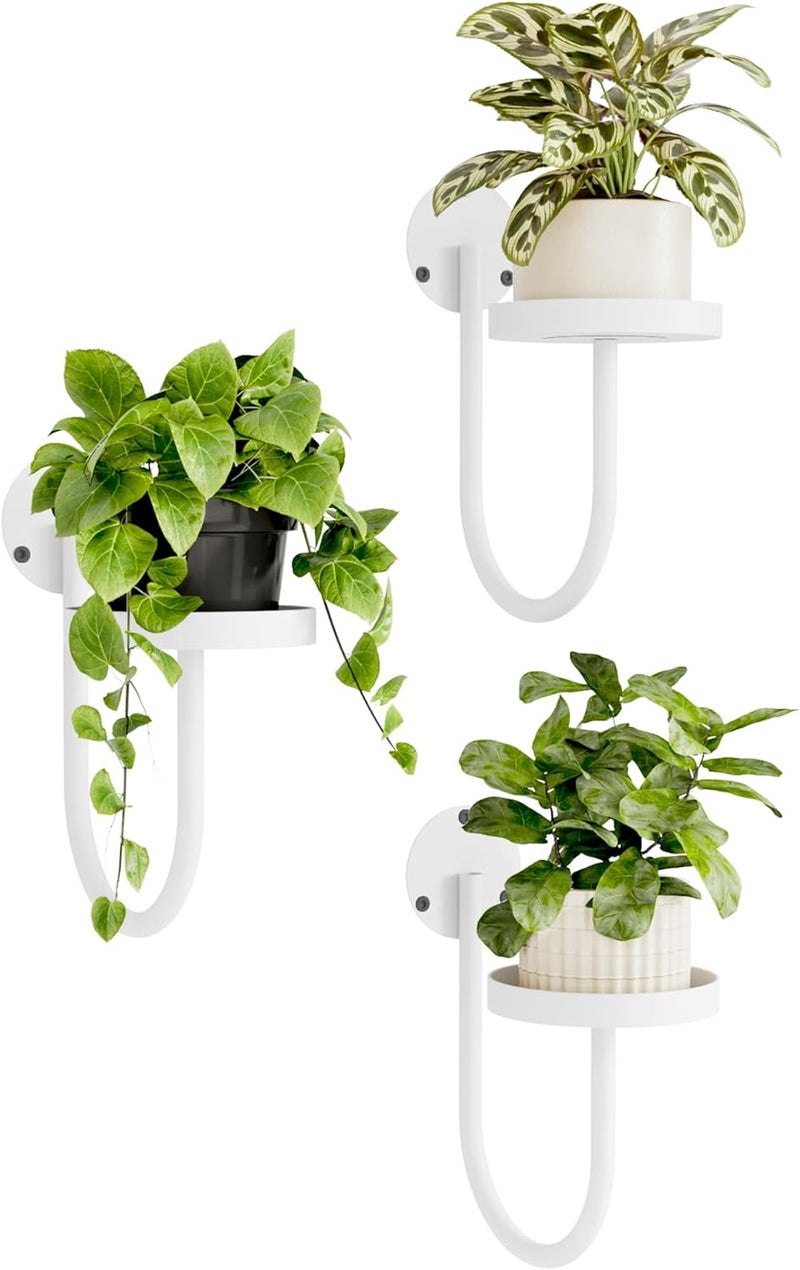 Bamworld Wall Plant Holder Wall Planters for Indoor Plants Plant Hanger Indoor Window Plant Shelves Hanging Plant Holder Window Plant Hanger Plant Decor White 3pcs - Image 1